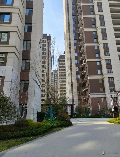 越来越不想跟邻居打招呼，不是高冷，是真怕麻烦
 
现在真的越来越佛系，楼道里碰到