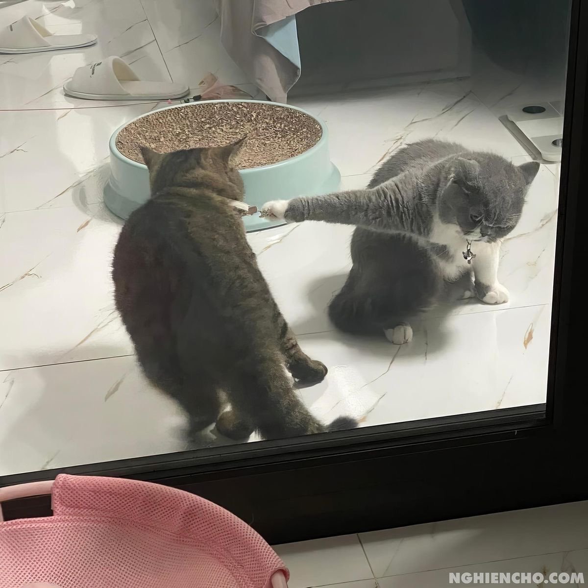 分享图片 ​​​