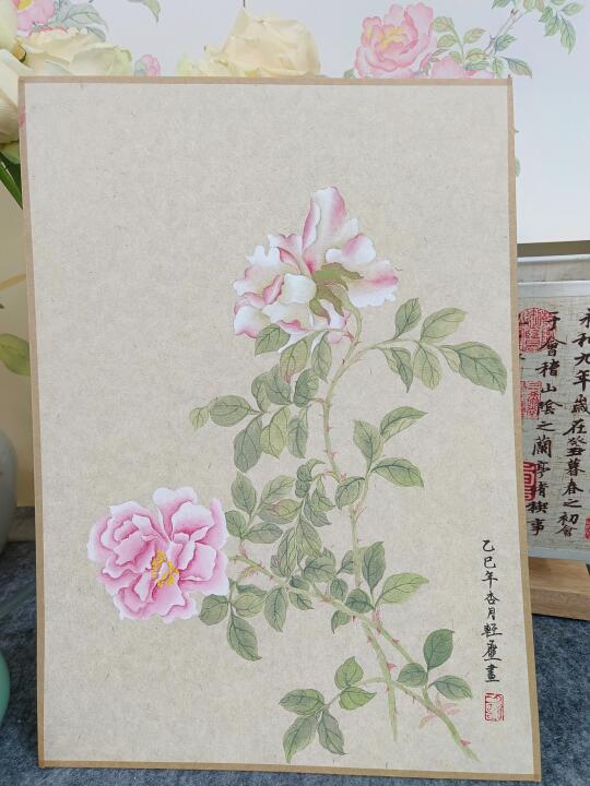 没骨画‖月季