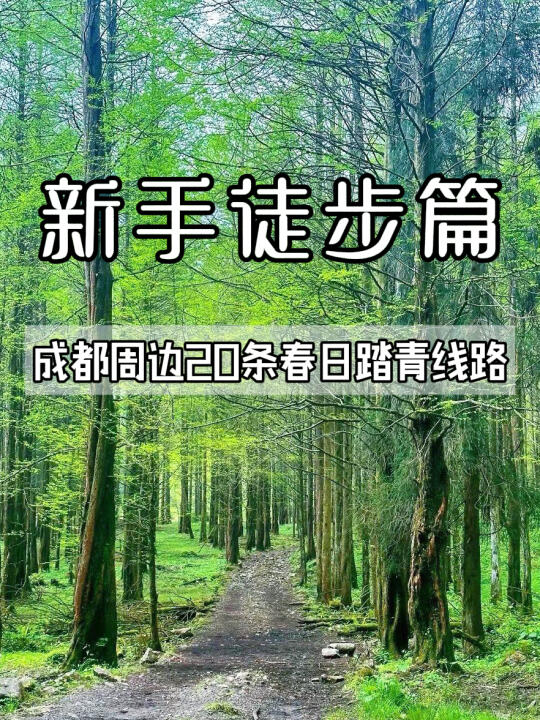 新手徒步篇丨成都周边踏春🙋‍♀️快来看