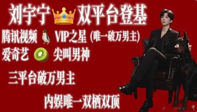 刘宇宁是两大平台力争的对象刘宇宁本身流量也高，演技说得过去，演的每部剧成绩都不错