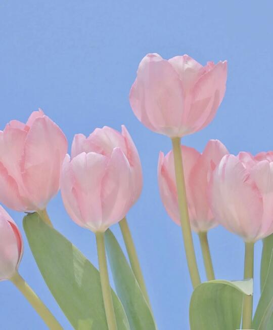 少生气，好好活