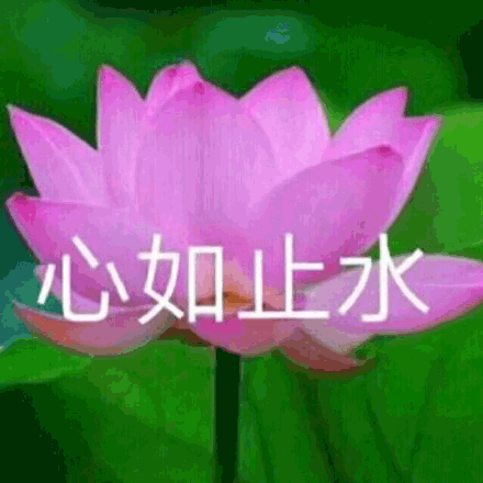 今天国庆后开工第一天
差点睡过头
挣扎着爬起来，听到了一个蛮有意思的观点，关于复