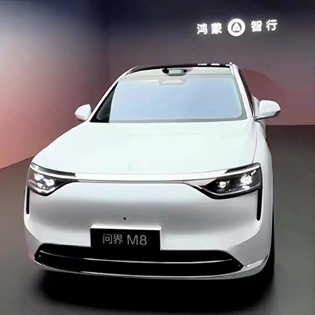 今天去提车了，这是我人生中的第一辆车。原本我并不想买车，毕竟汽车是消耗品，作为一