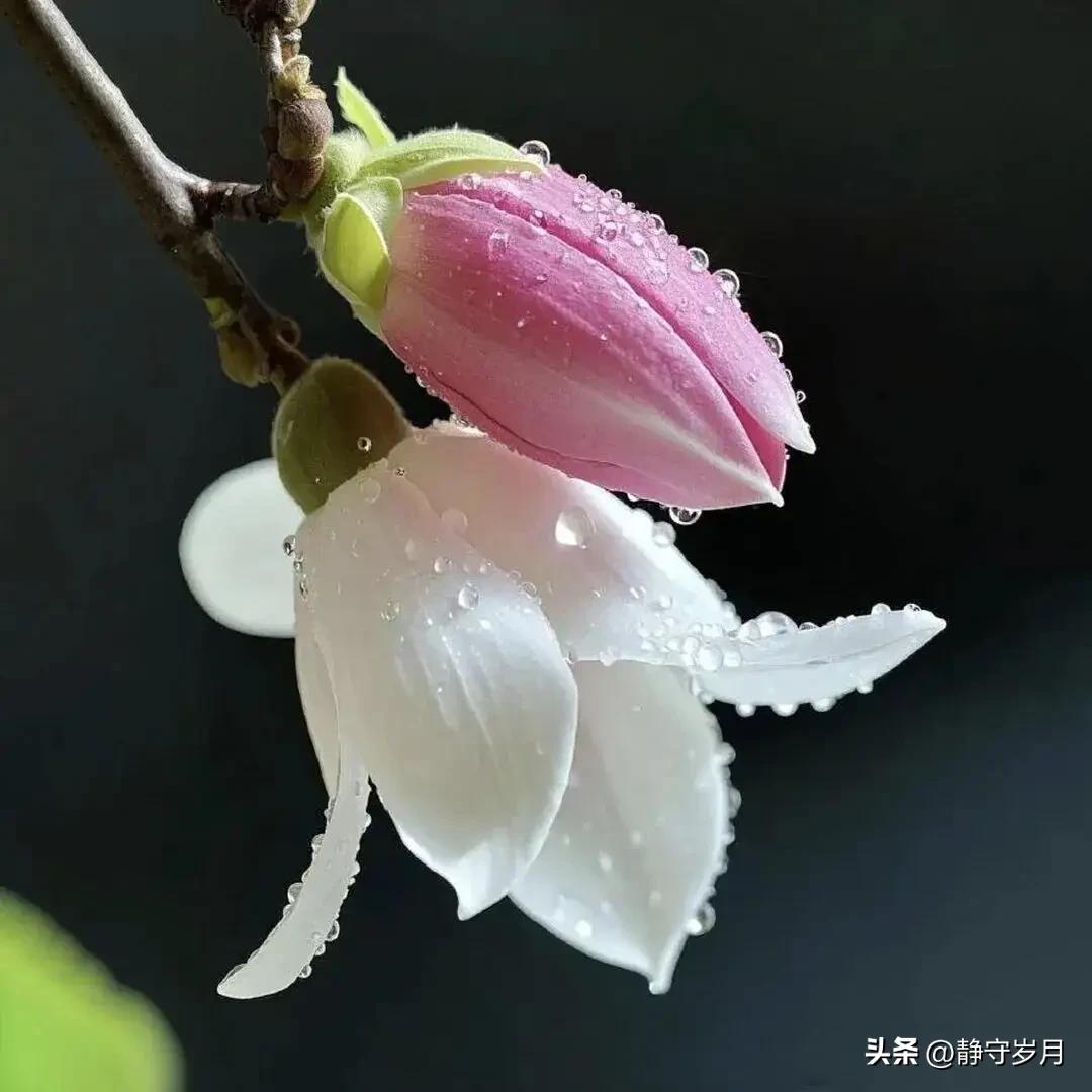 老话说“性格决定命运”，真的是这样吗？
 
其实我觉得，性格决定的不是你的人生上