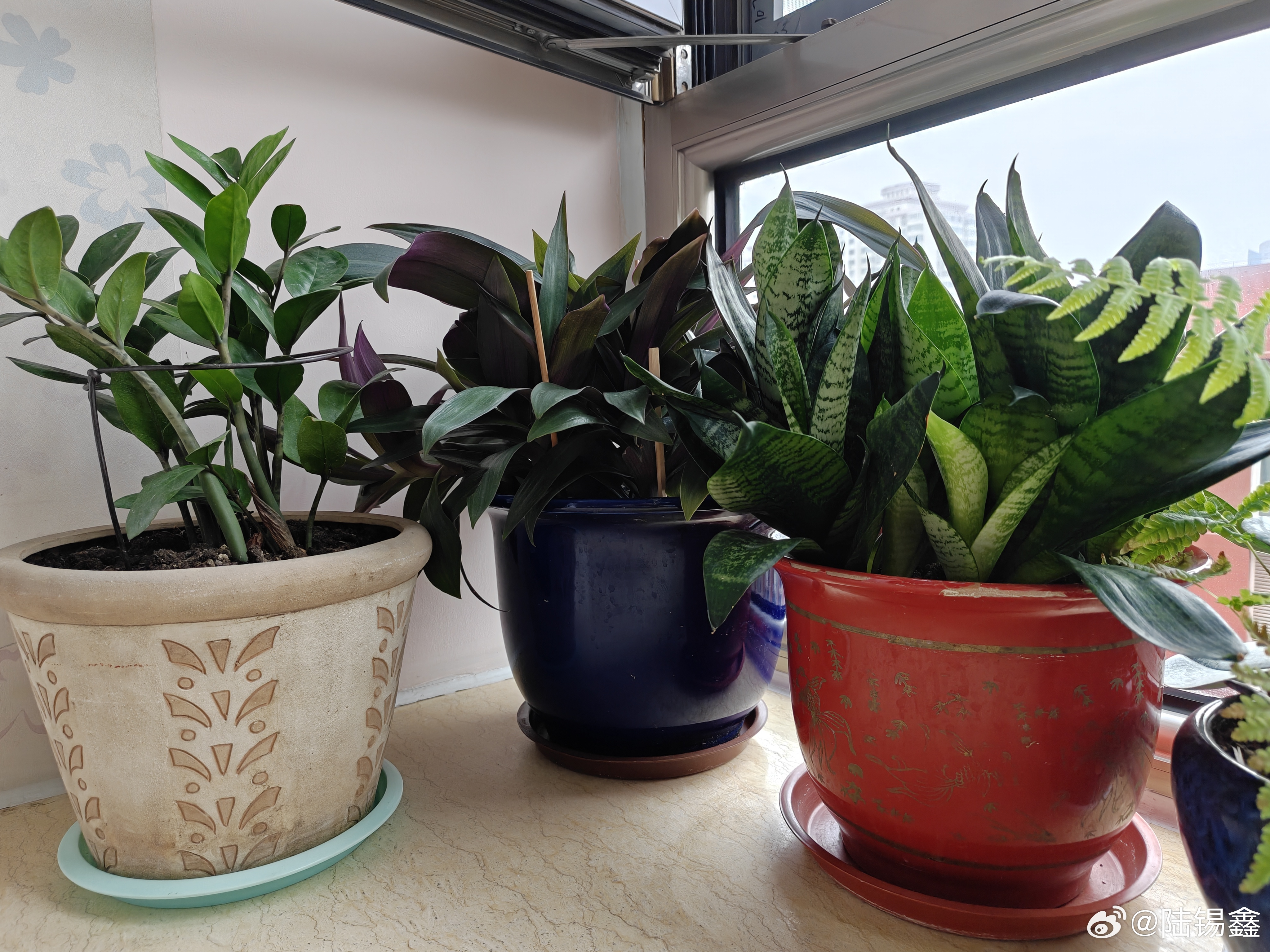 中秋假期 把中秋节当劳动节过！整理花盆、擦油烟机、照看老人……我们的口号是劳动最