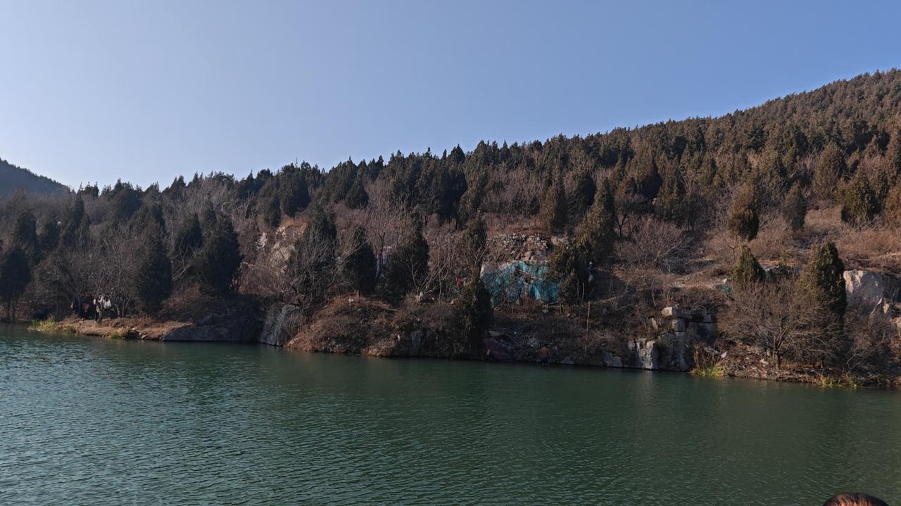 某台只能看动物频道，其他的脑子跟不上了！