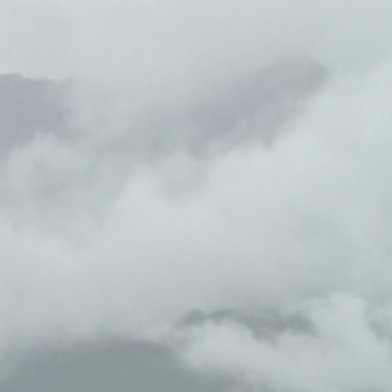 生活手记中午好。 