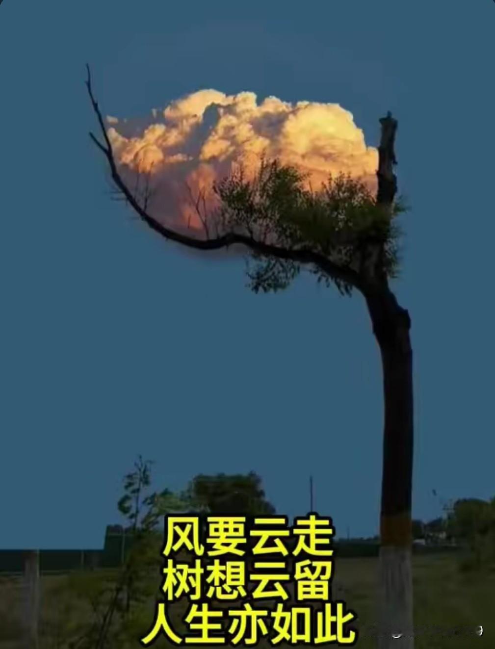 看着这些国家都干了哪些上不了台面的事情

一、日本：搞所谓的“政冷经热”

高市