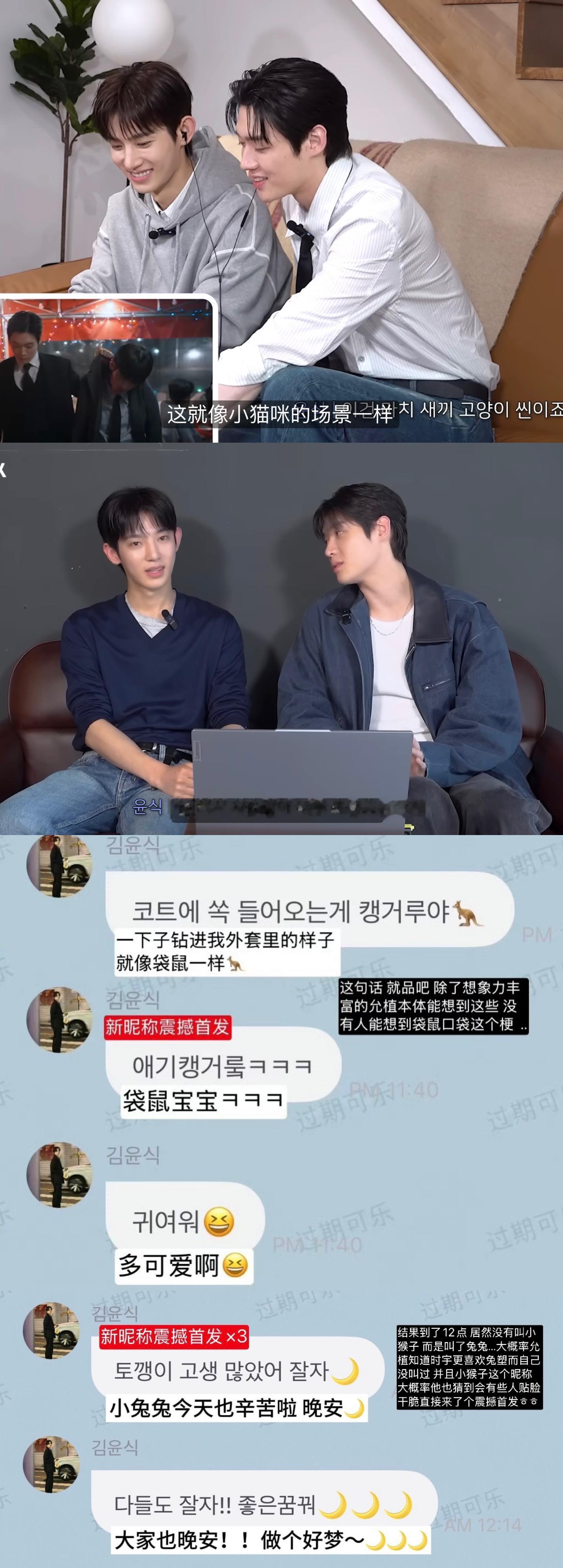 *叠甲🔛个人观点，仅作参考。主要基于公开物料和互动进行一些行为模式上的观察，不