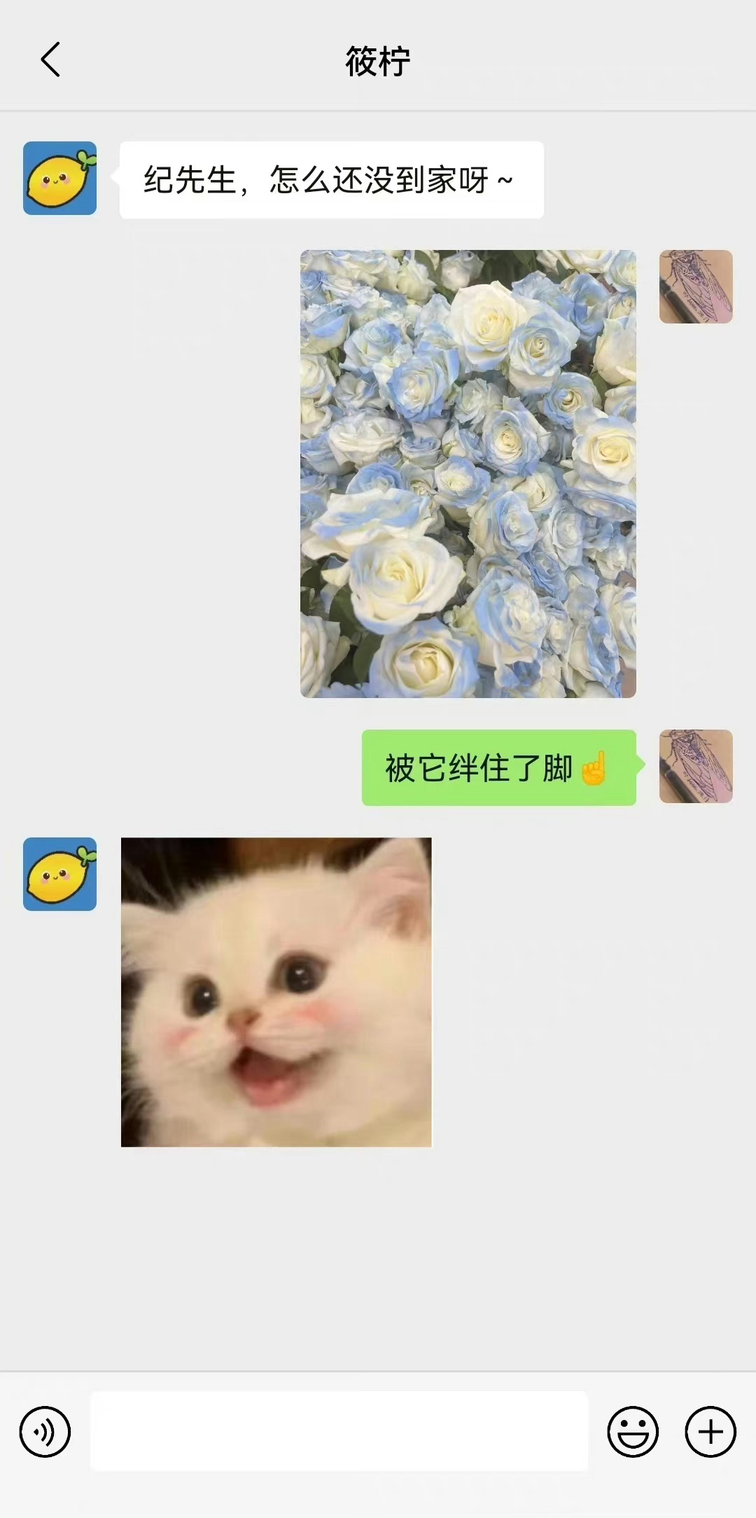 #私藏浪漫捡手机番外#番外番外！我今天就想看番外！看家昱户筱继续甜[送花花] #