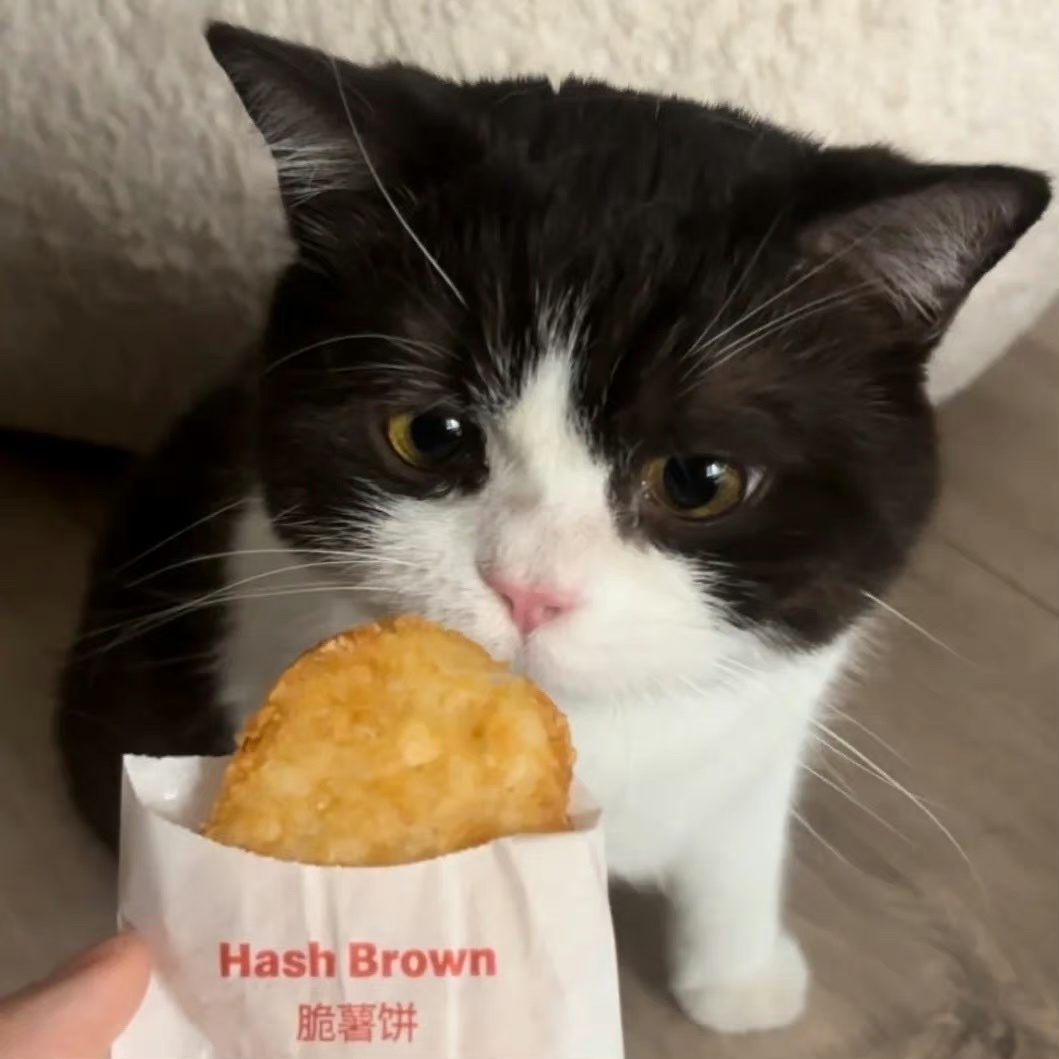 今天的这个日课，比较容易出现一些隐火的迹象。内热和湿热症会再次开始冒头，各位注意