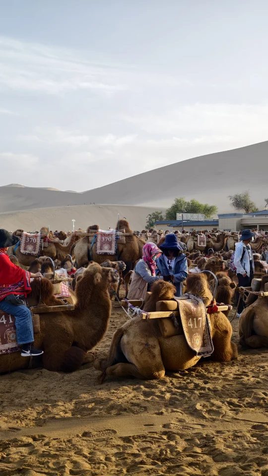 骑骆驼🐫✅ 总要来看一次沙漠吧