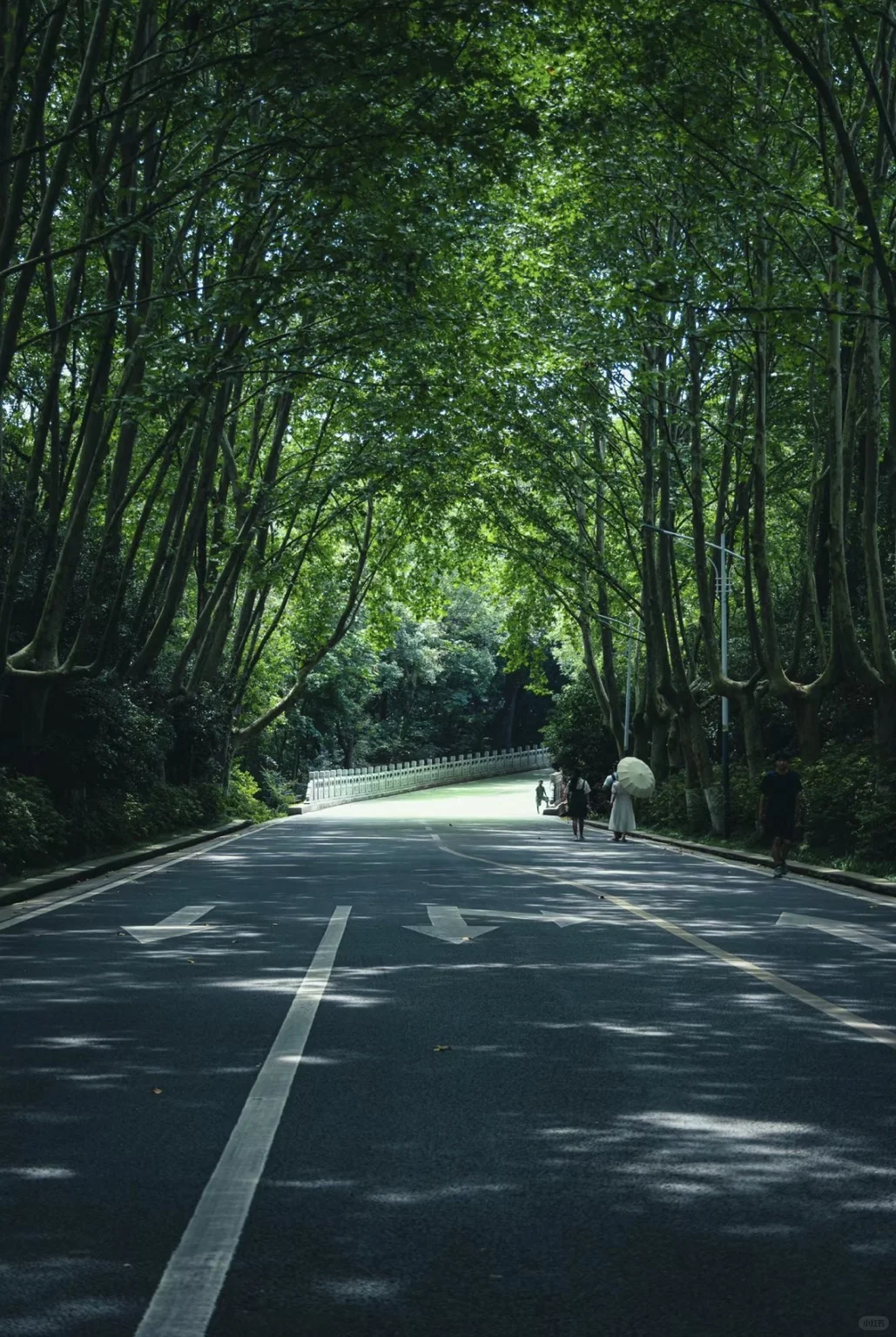 😎从黎明到夜晚，南京的路都有着别样的魅力✨。 它的景致千变万化，每一...