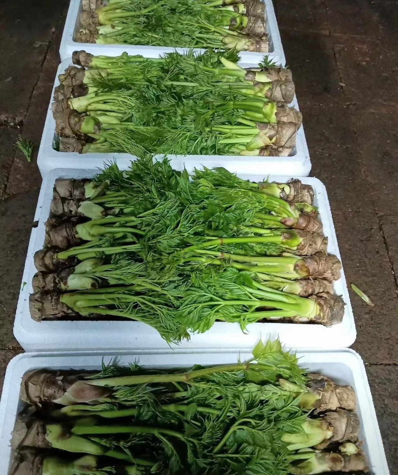 这东西也太贵了吧