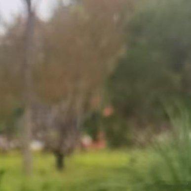 过年回家发现一件挺讽刺的事：父母一边催你结婚，一边把你当三岁小孩管。几点起床要说
