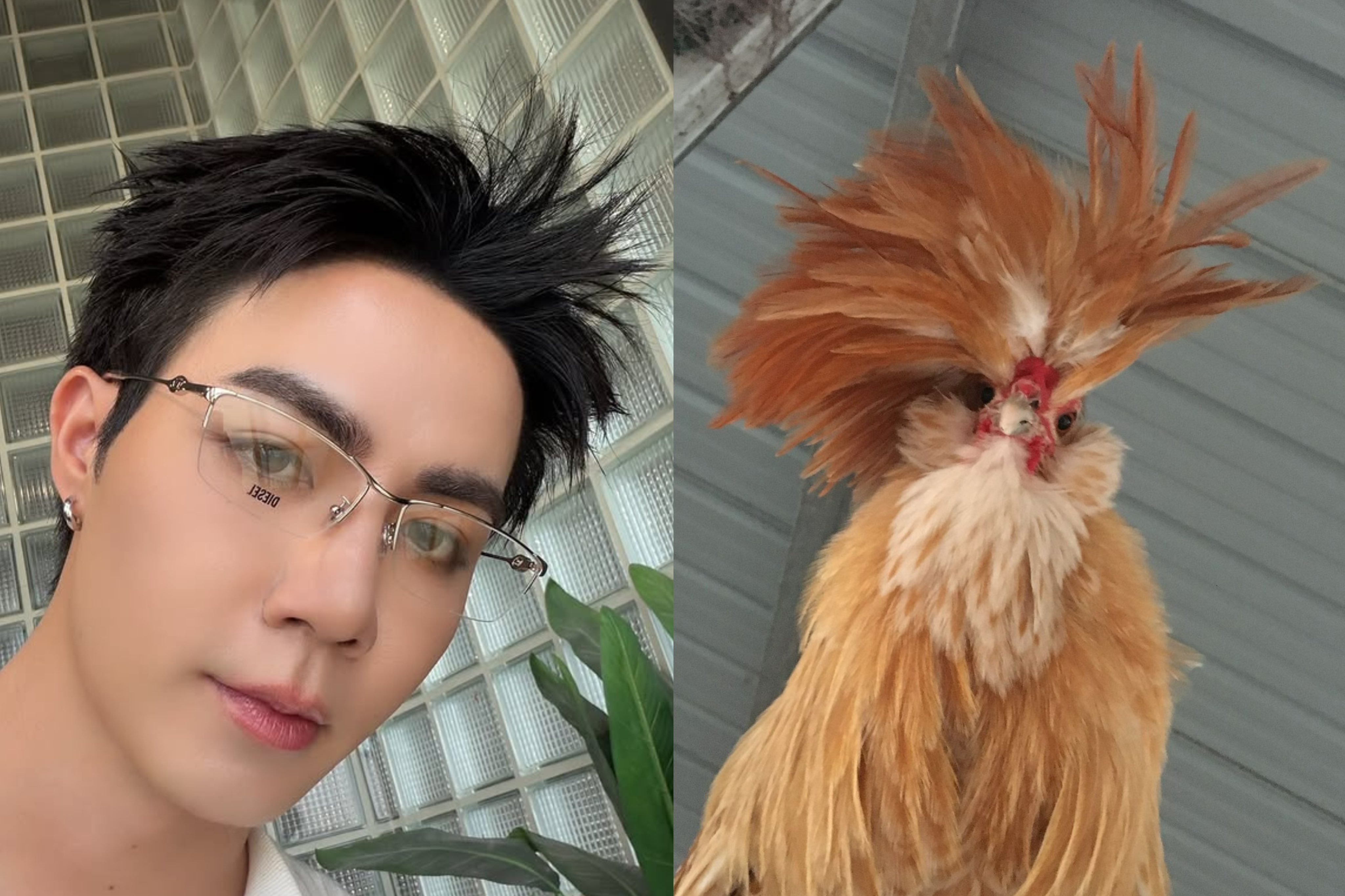 zeenew 💙zeenunew🧡李海海林景云🦵人又开始了