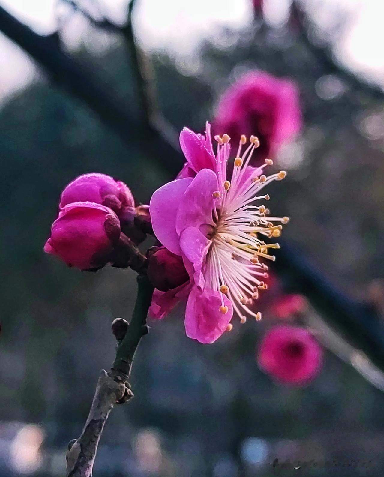 春天有个约