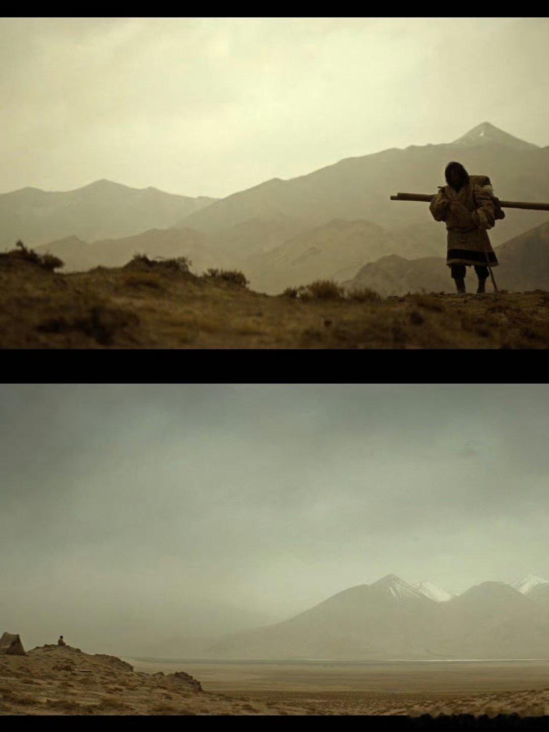 胡歌张哲华在生命树里共脑了电视剧生命树 多杰冲上去夺枪那一刻，和邵云飞的挣脱完美