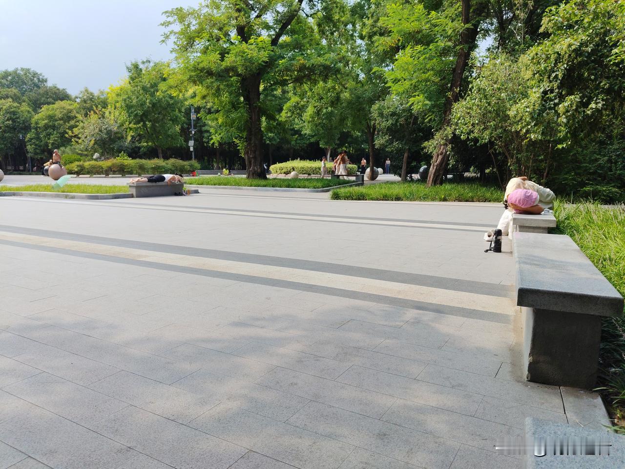 这么热的天，这公园好多人晒背，我就纳闷了，这真能养生？
我特意观察了下，那些晒背