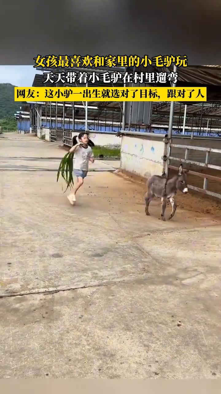 女孩最喜欢和家里的小毛驴玩，天天带着小毛驴在村里遛弯。
网友：这小驴一出生就选对