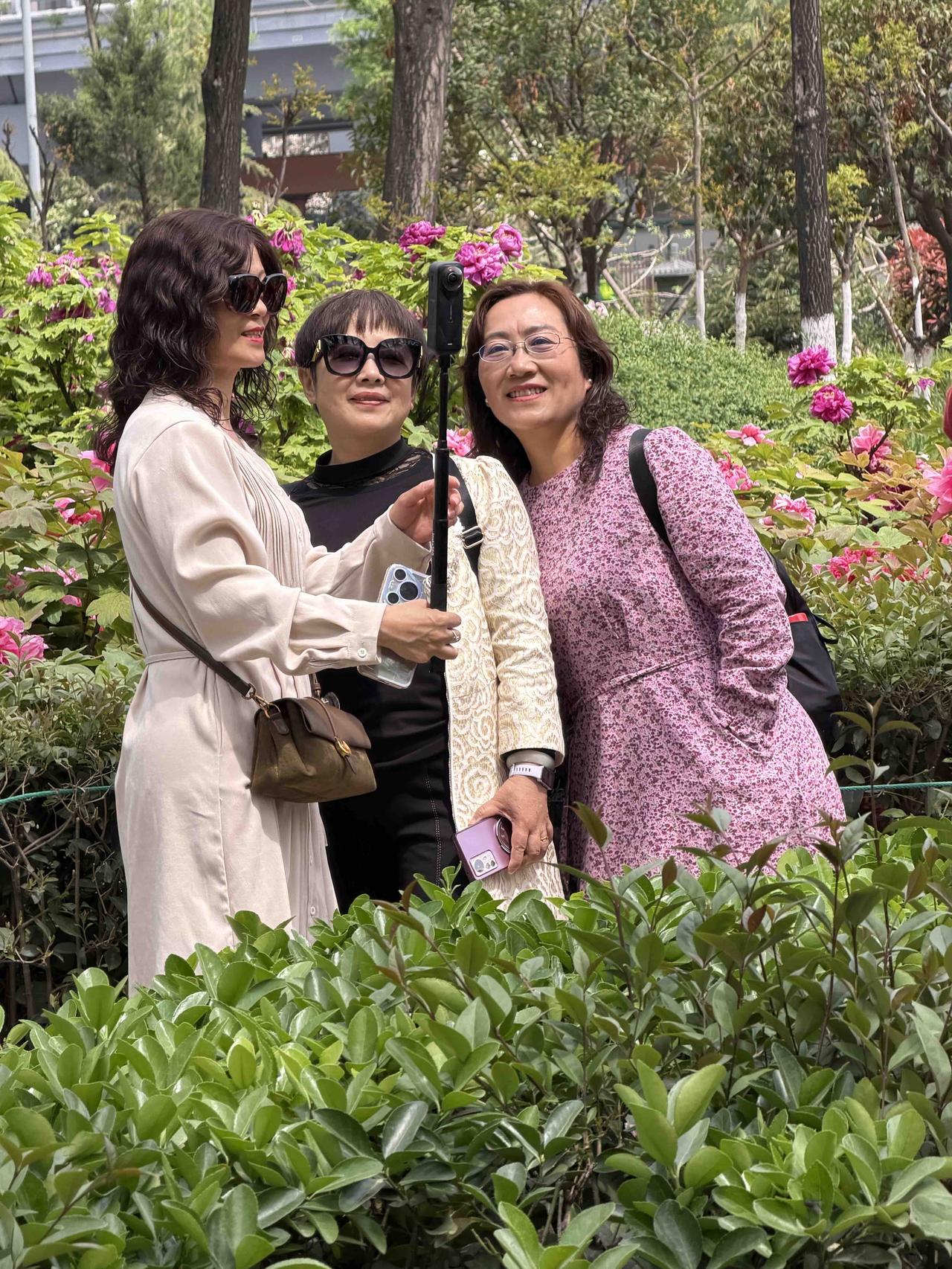 今天上午，我来西二环参加一个旅游推介会；中午吃完饭，看时间还早，想着离西安牡丹园