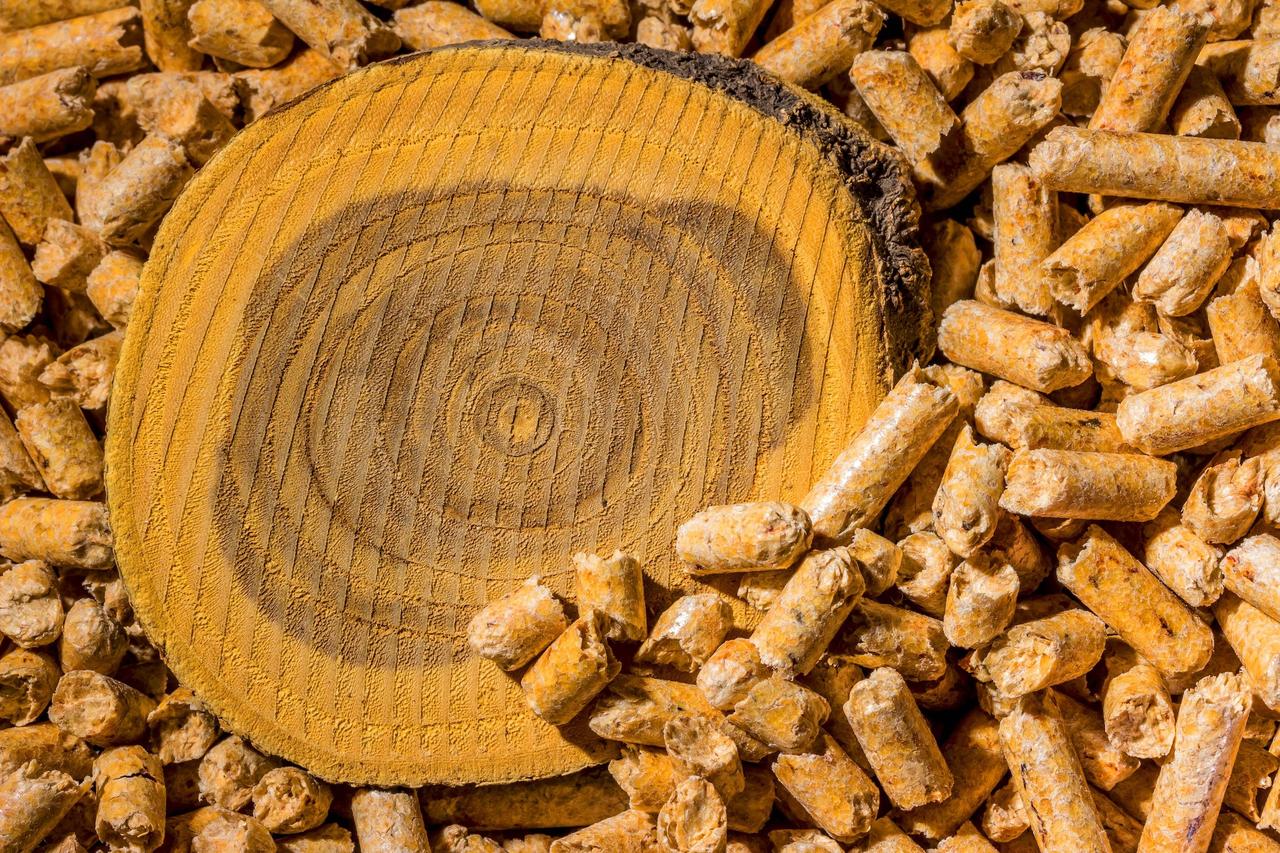 供暖≠环境污染。生物质燃料正在为我们提供一种更清洁的选择。

在德国，生物质燃料