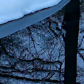 阳光信用‎阳光‎信用 ‎每日一善 好好活着，不要抱怨生活，就算生活的不如意，就算