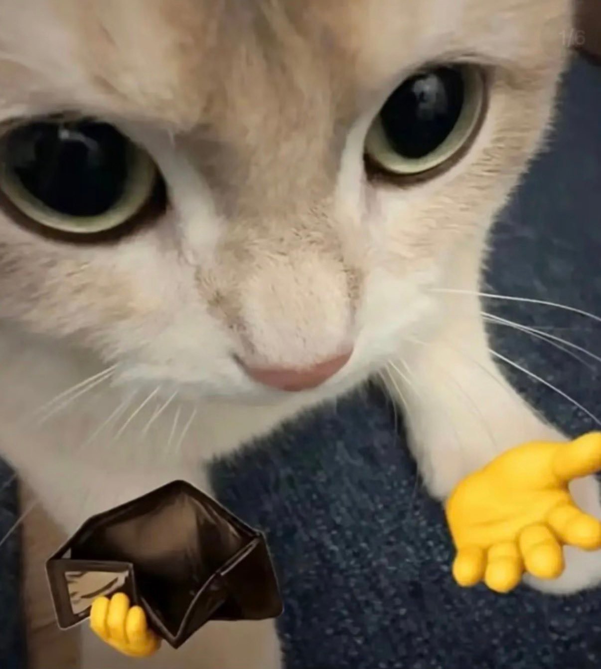 ⠀ ​​​