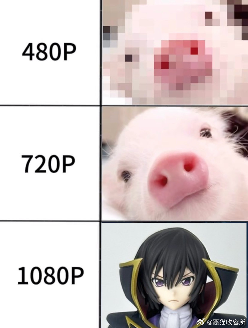 这下看清了 11396 