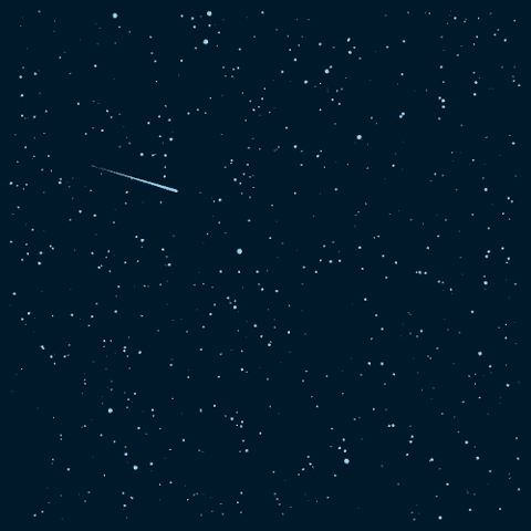总是要
等到沉寂的午夜
你才悄然开放
在星星铺成的原野
你是最美的一朵

在浩翰