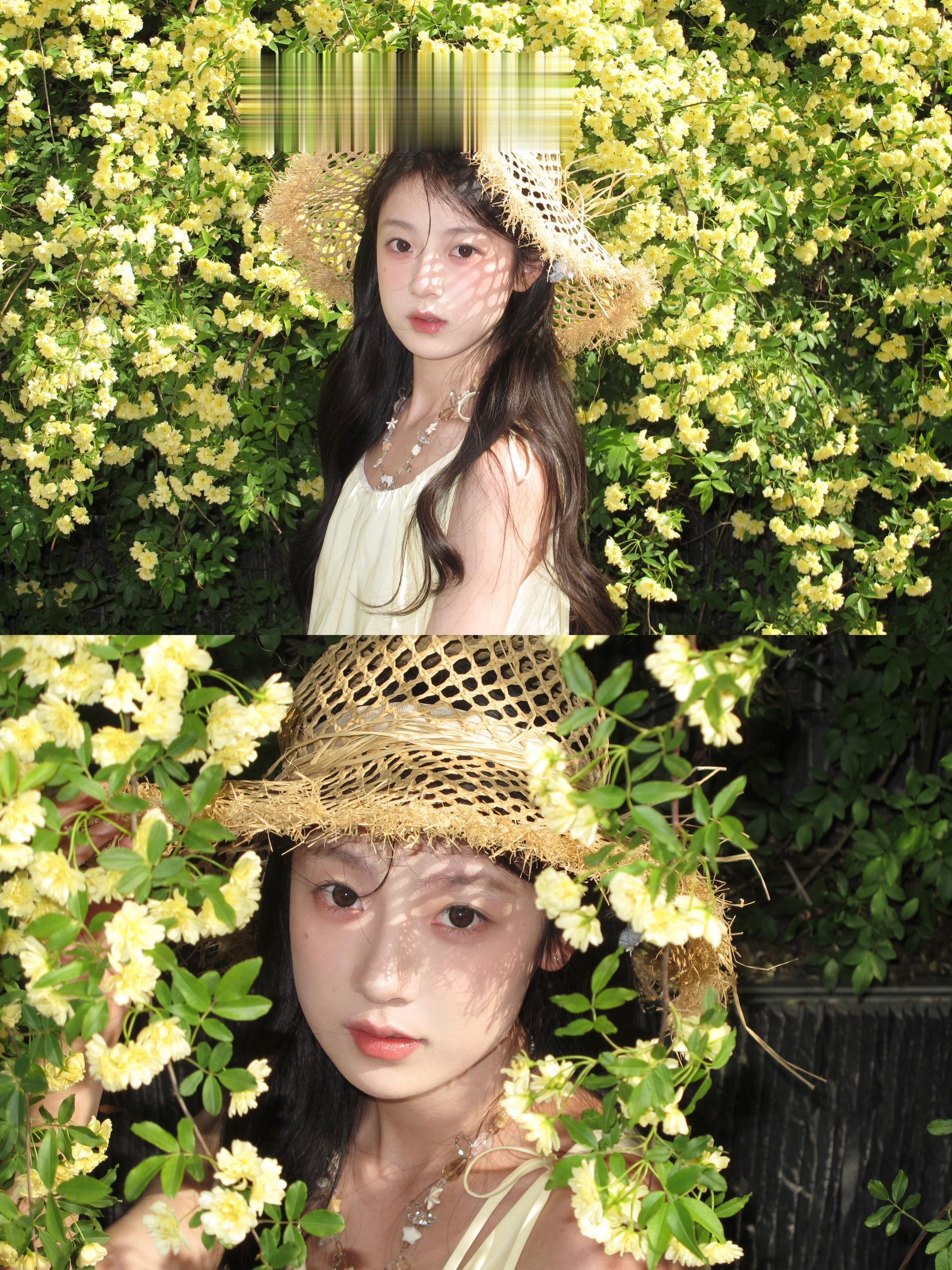 故事的小黄花🌼。
