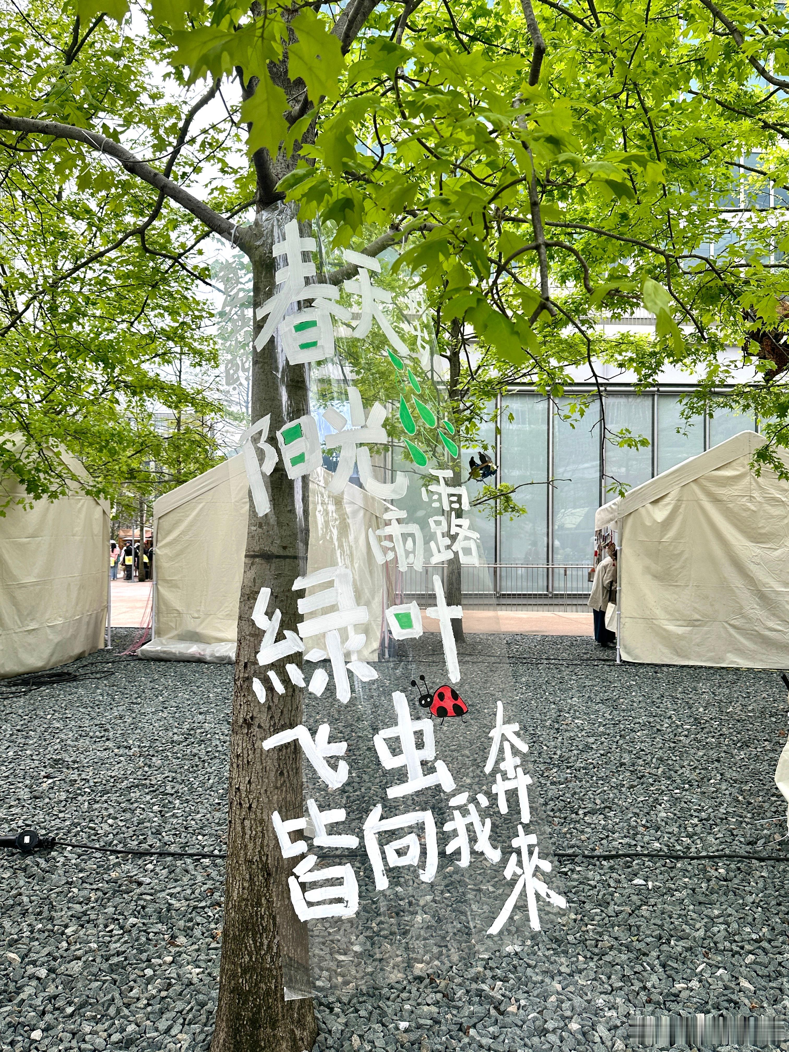 分享图片 