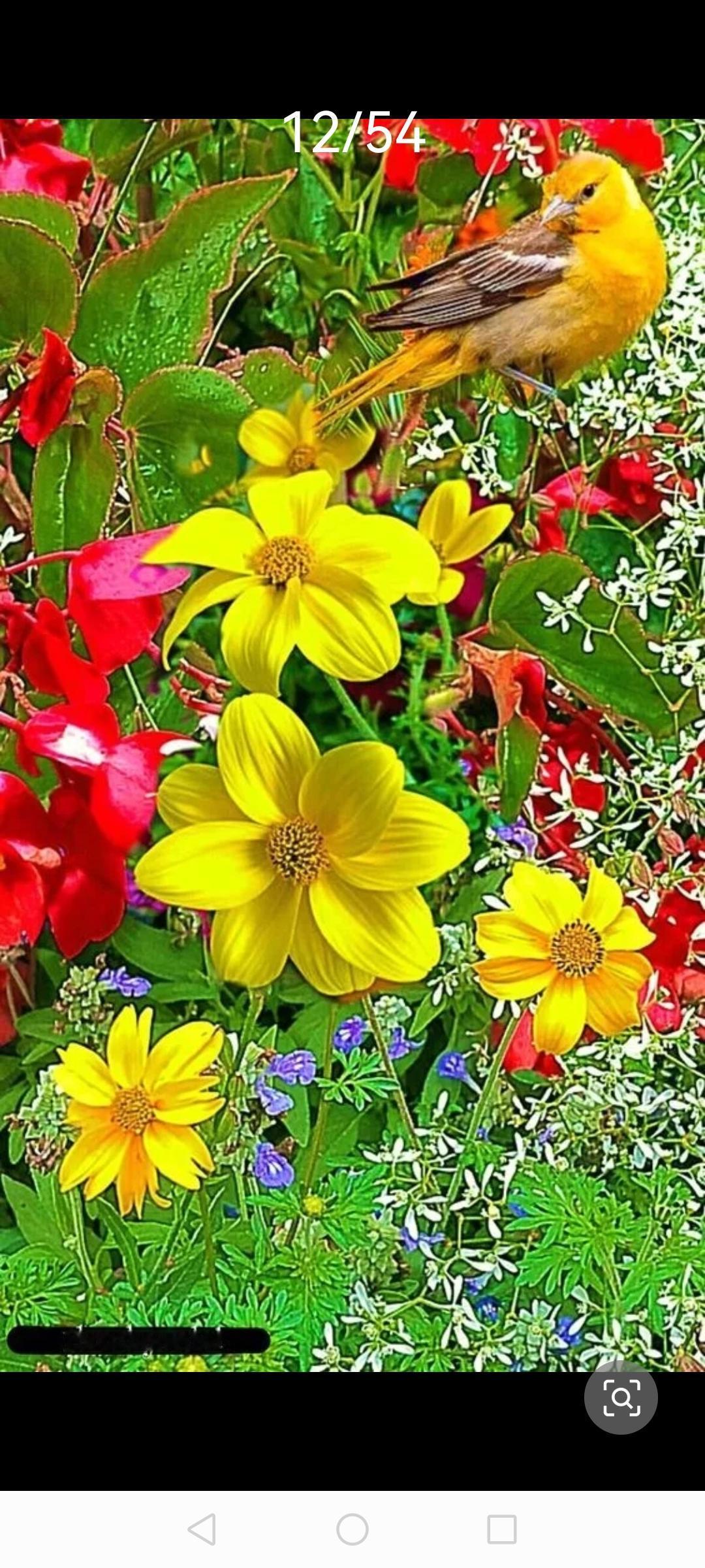 你有没有过这种时候？心里委屈得快哭了，嘴上却硬撑着说“没事”；明明特别在意一个人