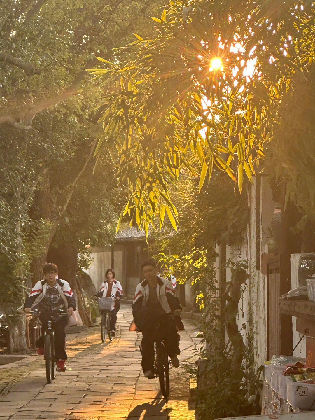 白鹿[超话]白鹿自己剪的花街回忆录白鹿的花街回忆录，每一帧都像是在诉说着一个故事