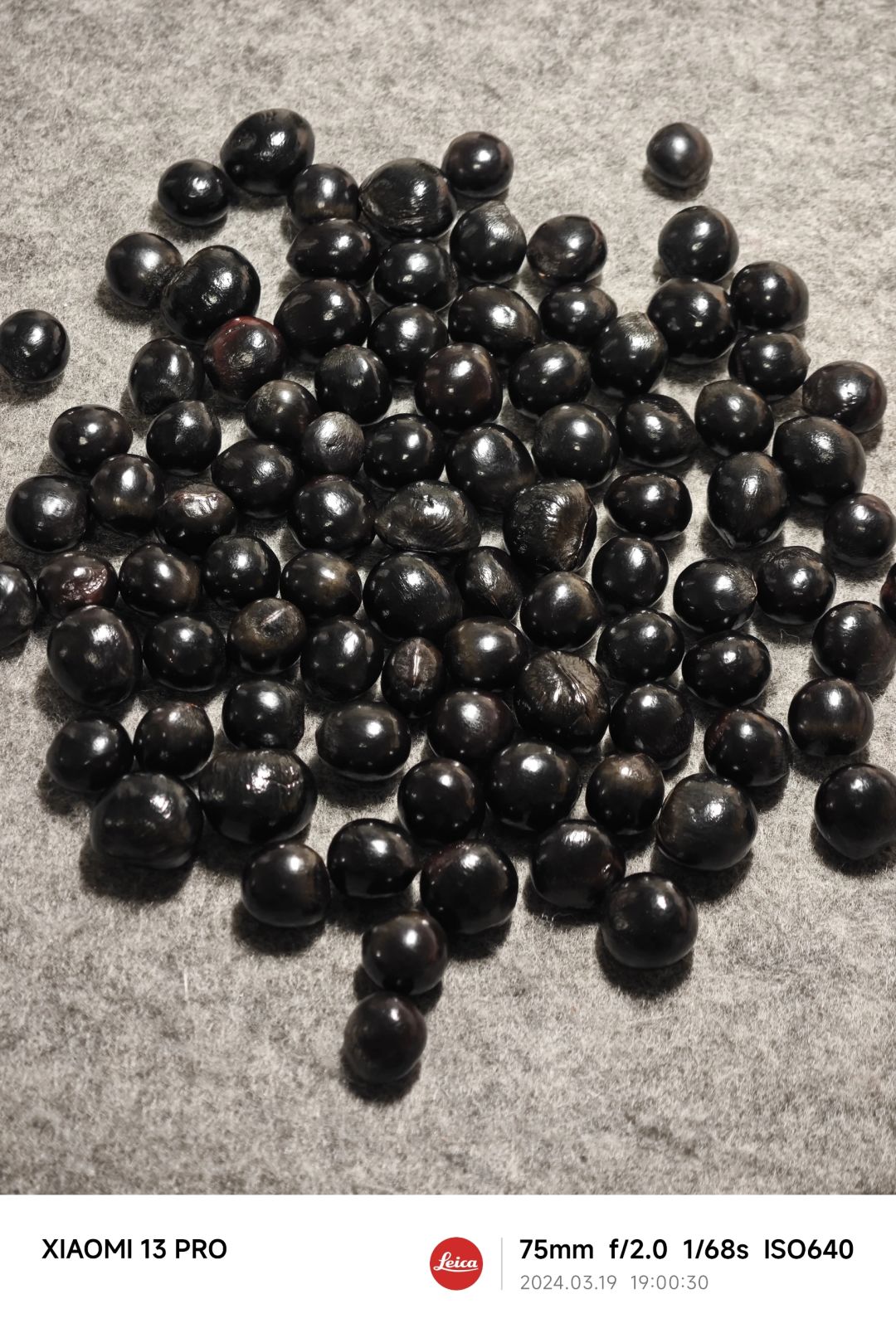 NO.428 黑珍珠