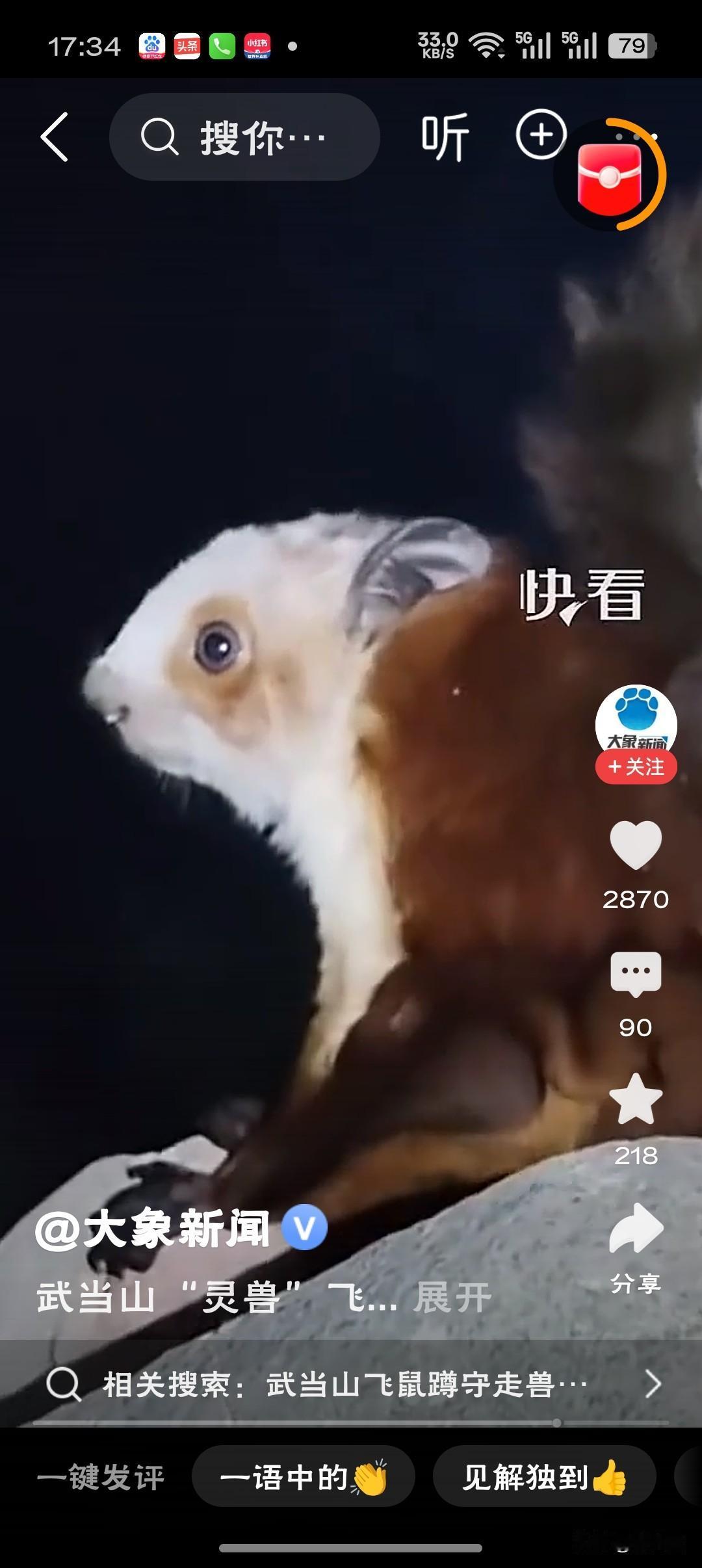 武当山飞鼠蹲守走兽位置盯夜班古建上的石兽负责镇守岁月，屋脊上的飞鼠负责守护烟火，