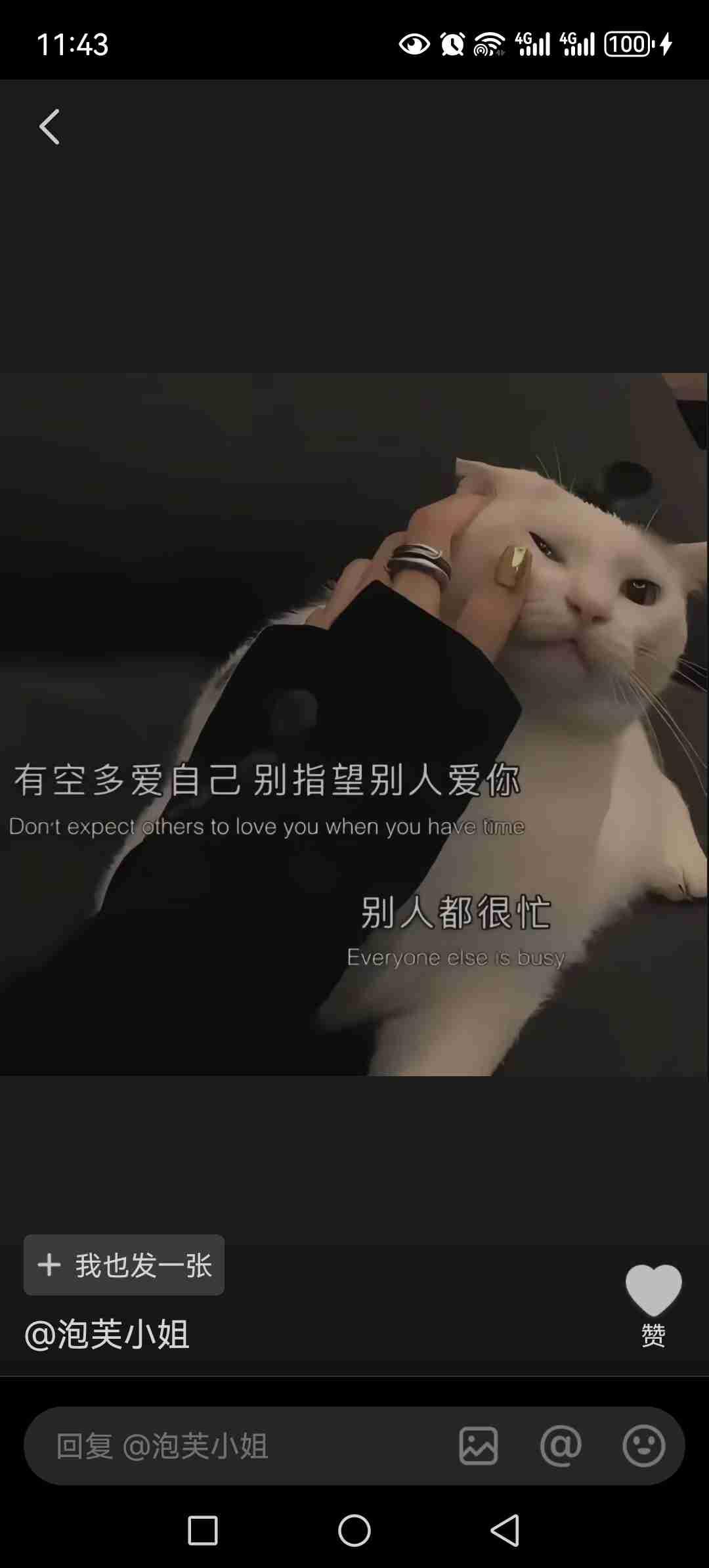 我的今日状态：😁轻松愉快
我这里的天气：☀️晴天