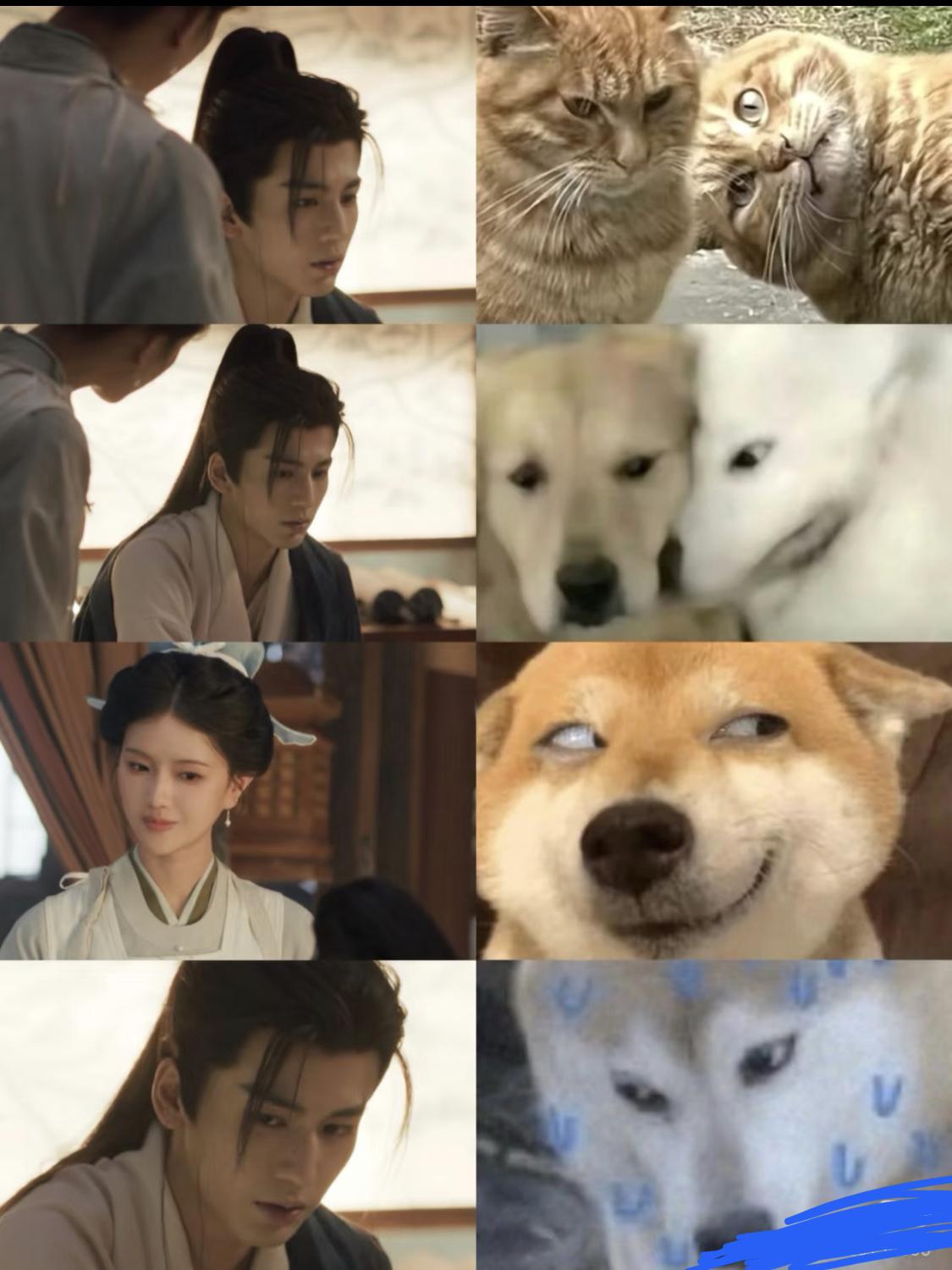 “哟丧彪就你叫咪咪啊”公主看到谢征自称言正的表情太好笑了。《逐玉》

他俩是从小