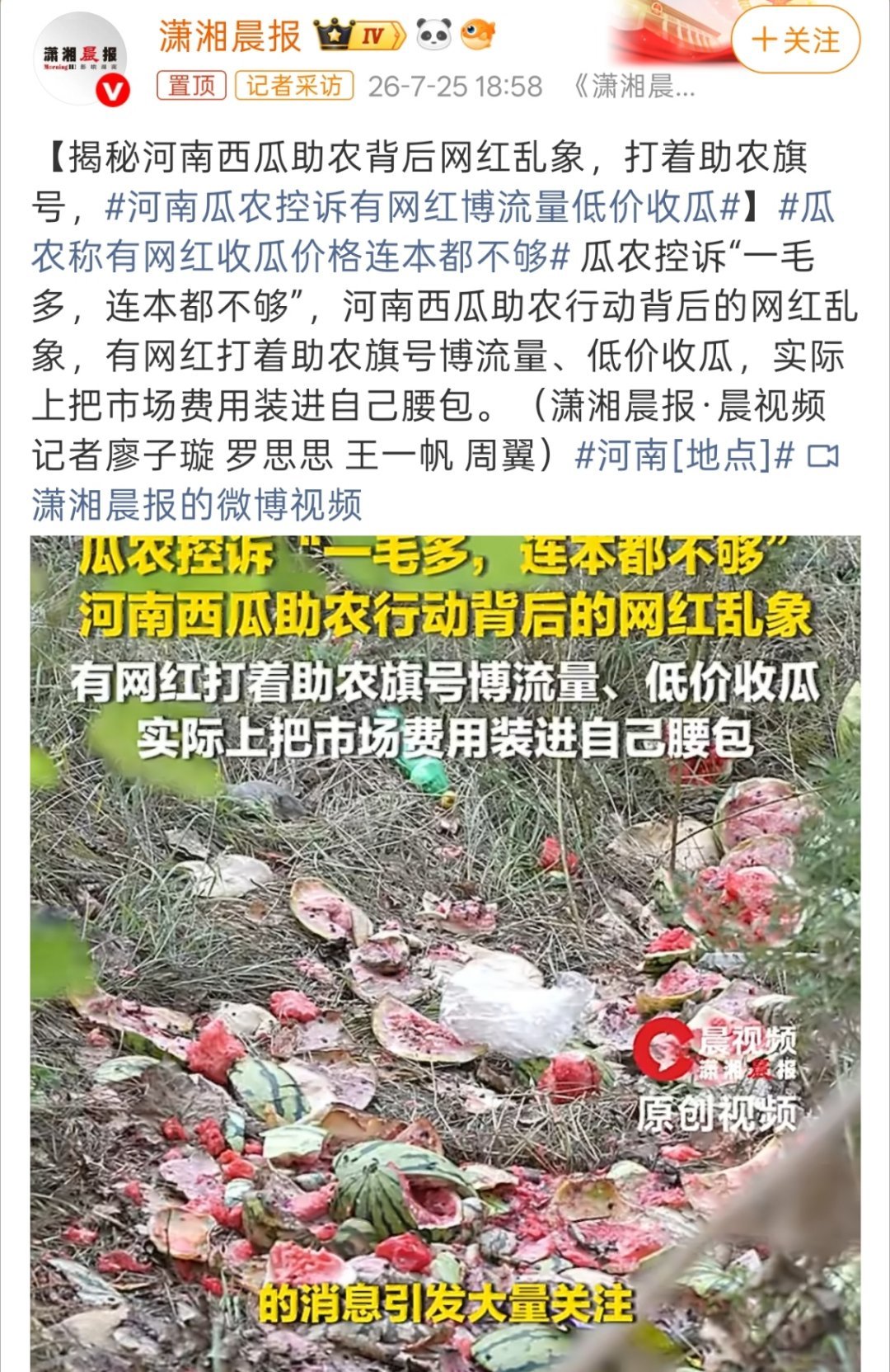 河南瓜农控诉有网红博流量低价收瓜原本以为是网红有流量，瓜农能赚钱，没想到是网红又