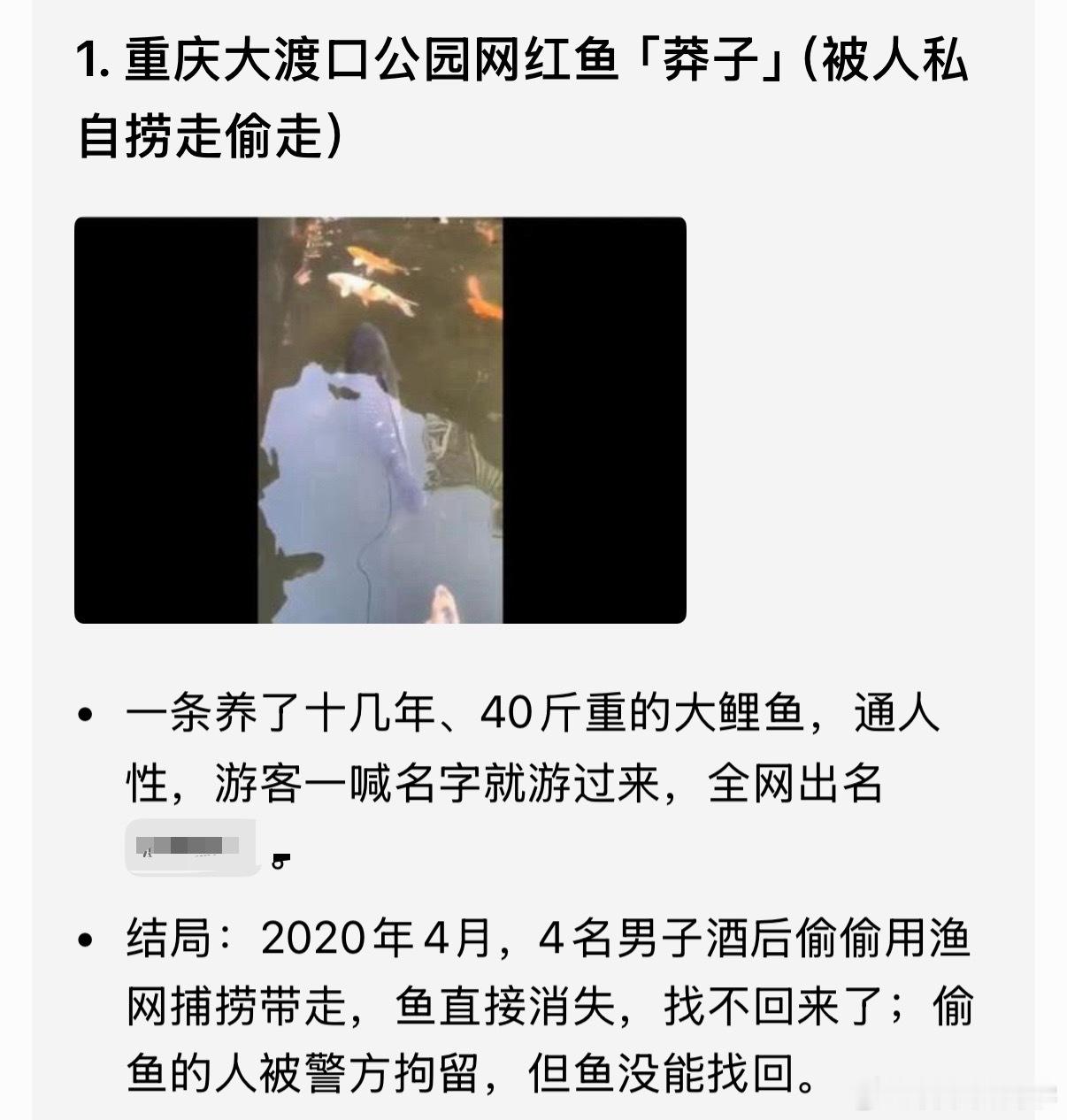 网红犬锄头被宰杀案时间线曝光网红宠物最好还是要着重保护一下，毕竟有了曝光，什么样