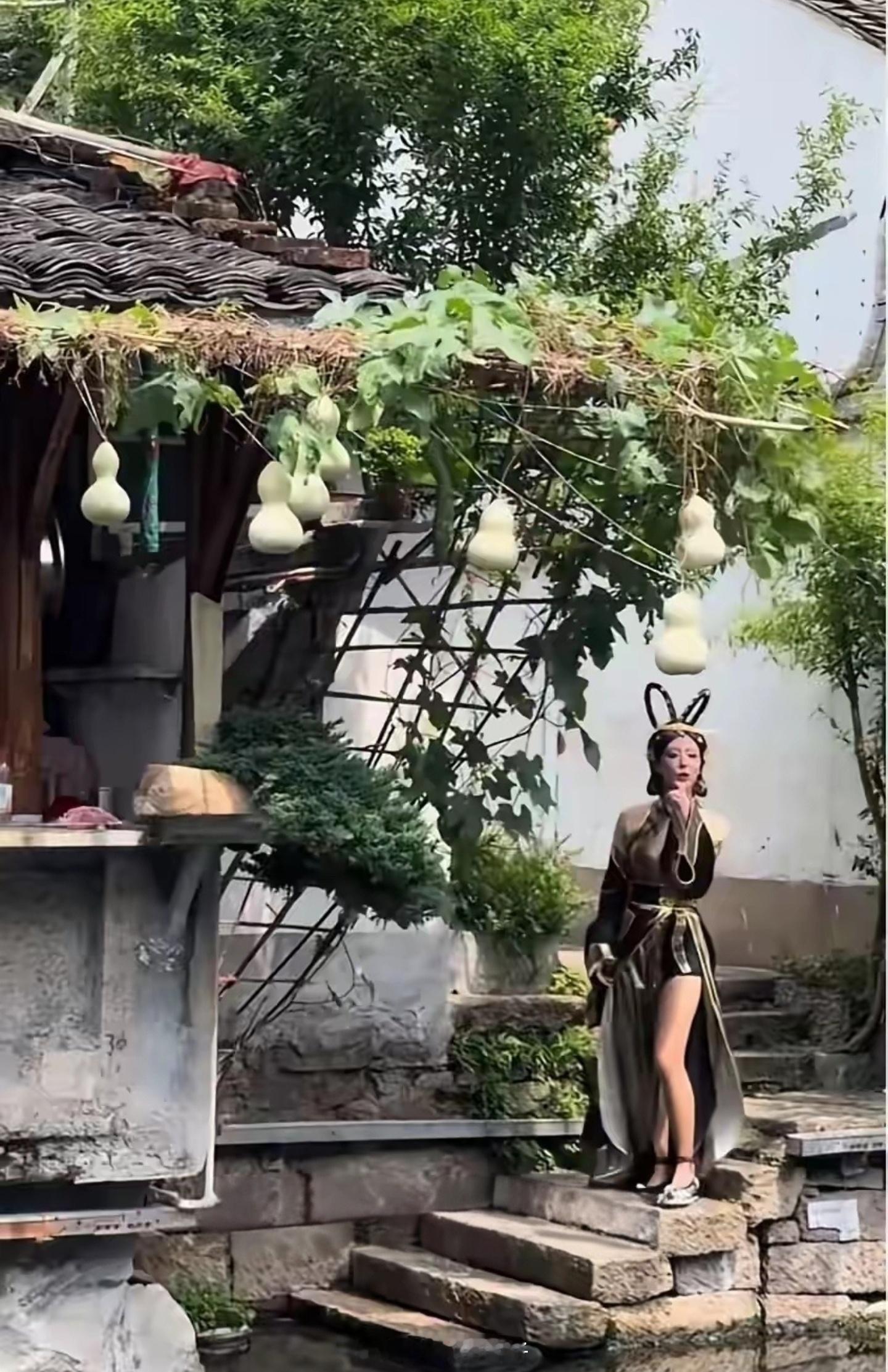提前剪掉的7个葫芦讽刺了谁有人对流量趋之若鹜，就有人对流量避而远之，况且还是这种