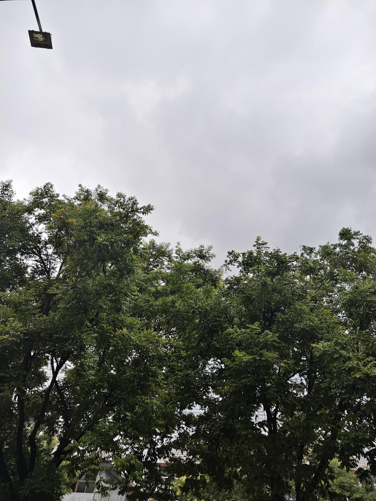 直接被暴雨截胡啊，
头发丝滴着水，裤脚也湿透，连坐垫都在往下淌水，整个人跟捞上来