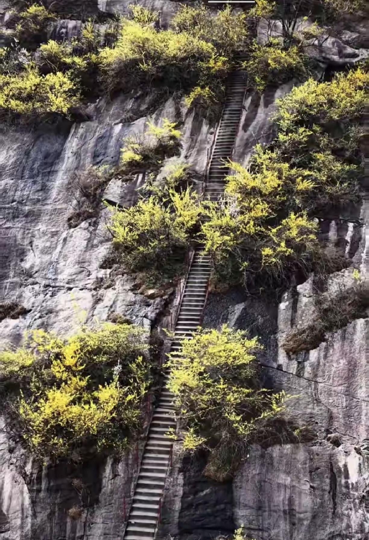 淄博还有这等奇景？天梯入云！你知道这是哪儿吗？