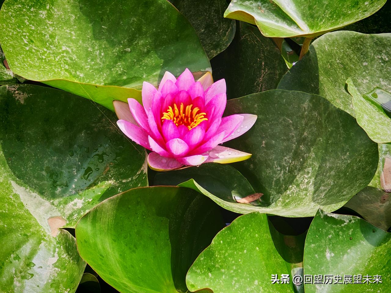 分享这个夏日的美好瞬间