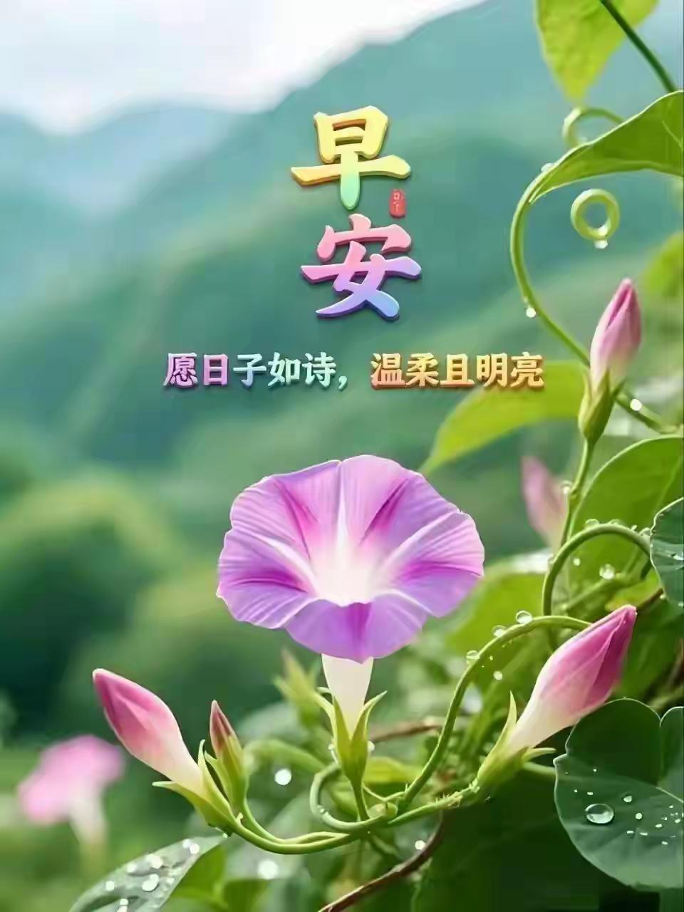 早安，愿日子如诗，温柔且明亮。🌸🌿