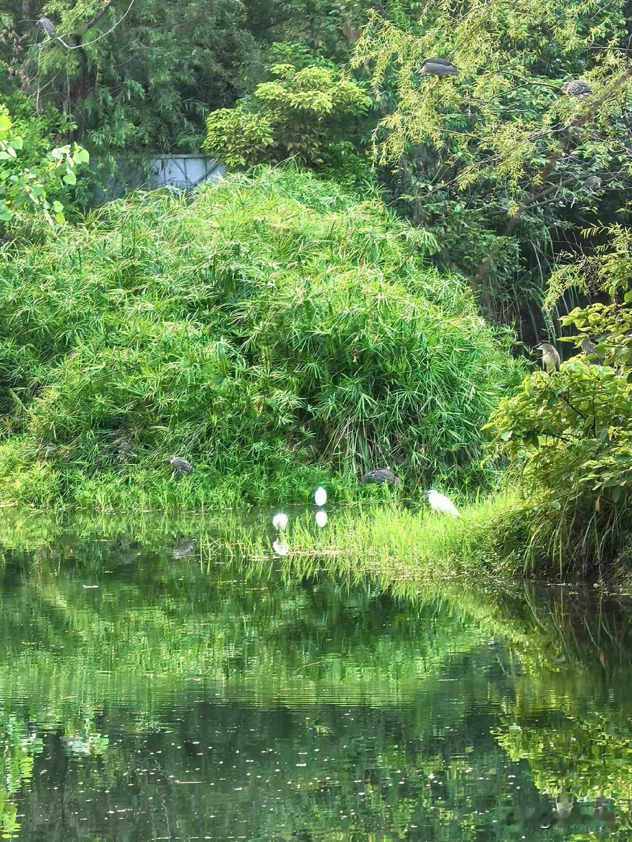 太阳落坡，东湖转圈，看东湖夕照的静水微澜，也看靓仔钓到大青鱼的兴奋热闹。
图文原
