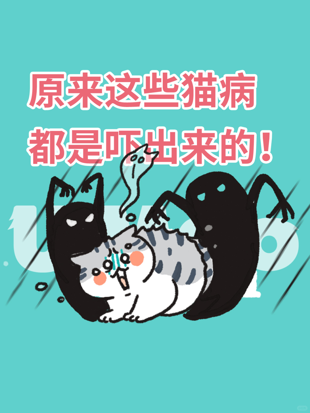 原来这些猫病，都是吓出来的！严重要猫命