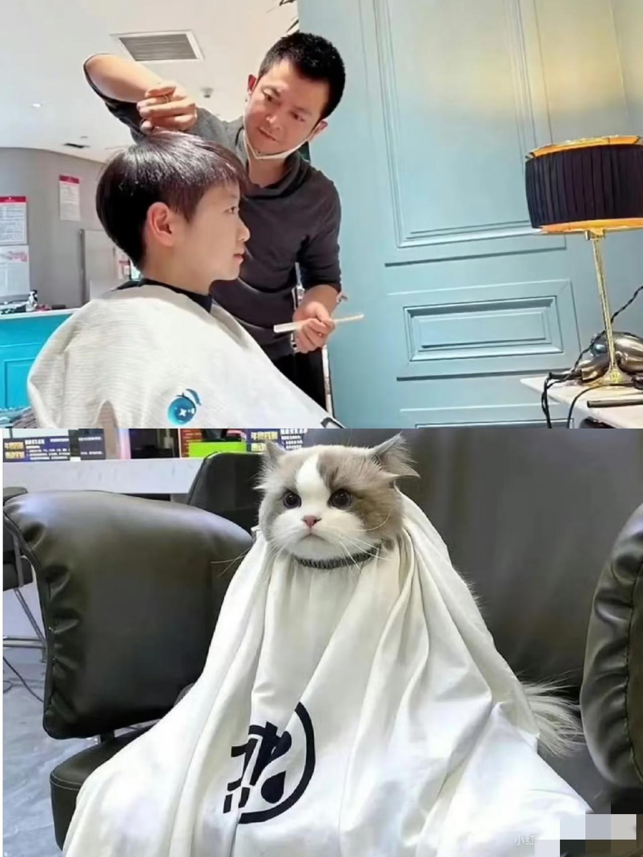 莎莎正脸剪头发照片曝光!
海南之行，莎莎改变最大的是头发剪短了。那短发简直比男队