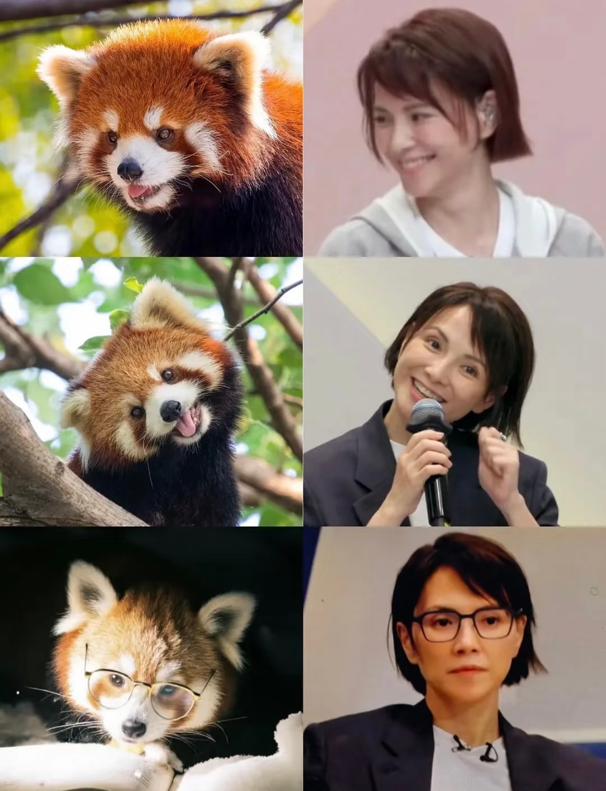 建设浪姐传神塑怎么全都一模一样啊啊啊啊建设浪姐传神塑